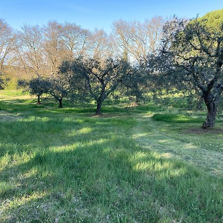 Casal Ponziani Per Civita E Dintorni Βίλα Bagnoregio Εξωτερικό φωτογραφία